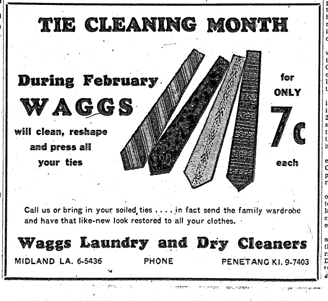 waggs-tie-cleaning
